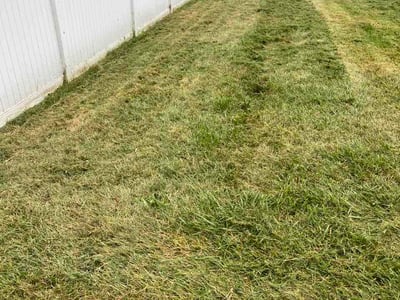 Lawn Care service in Harrison Township, 48045