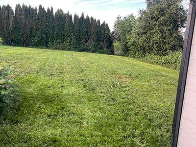 Lawn Care service in Snohomish, 98290
