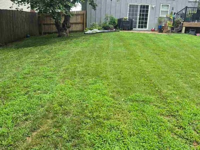 Lawn Care service in Prairie Village, 66208
