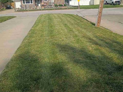 Lawn Care service in Council Bluffs, 51501