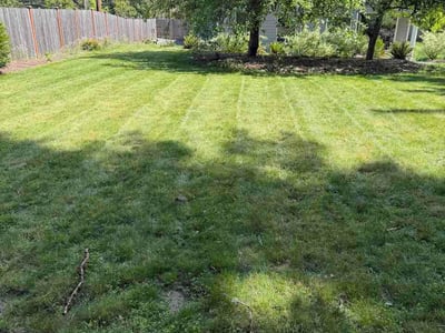 Lawn Care service in Kenmore, 98028