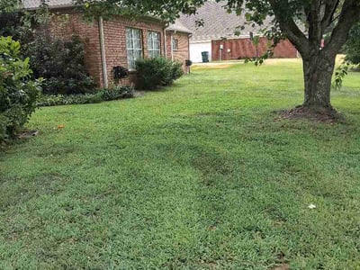 Lawn Care service in Southaven, 38671