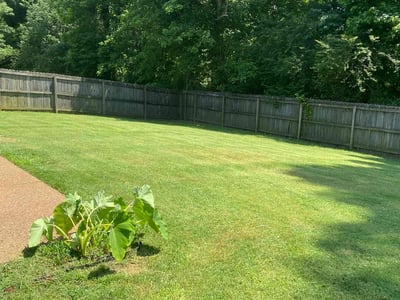 Lawn Care service in Southaven, 38671
