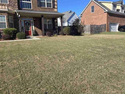 Lawn Care service in Framingham, 01702