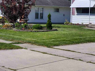 Lawn Care service in Maumee, 43537