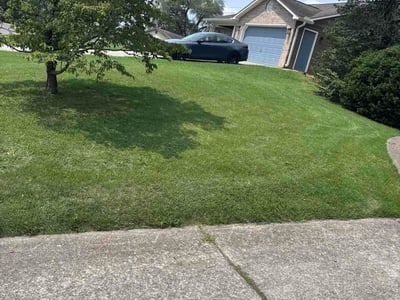 Lawn Care service in Maryville, 37804