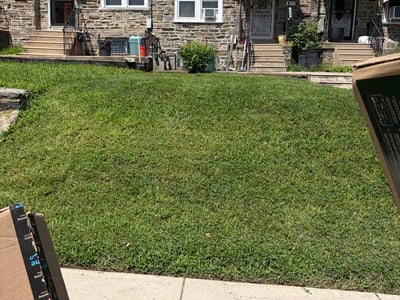 Lawn Care service in Upper Darby, 19082