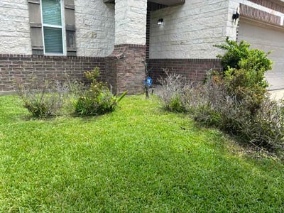 Lawn Care service in North Andover, 01845