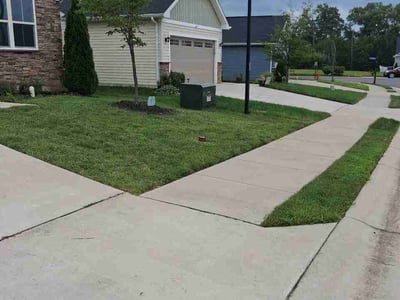 Lawn Care service in Ruther Glen, 22546