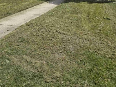 Lawn Care service in Chaska, 55318