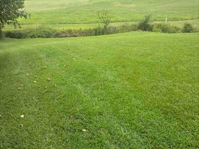 Lawn Care service in Brandon, 39042
