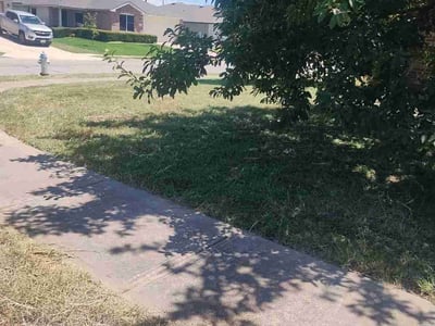 Lawn Care service in Loma Linda, 92354