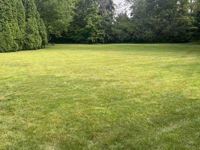 Lawn Care service in Upper Arlington, 43212