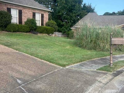 Lawn Care service in Brandon, 39042