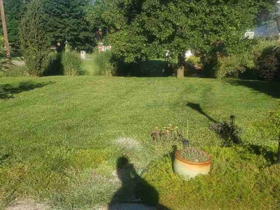 Lawn Care service in Trenton, 45067