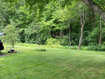 Lawn Care service in Deep River, 06417