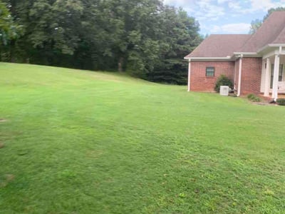 Lawn Care service in Senatobia, 38668