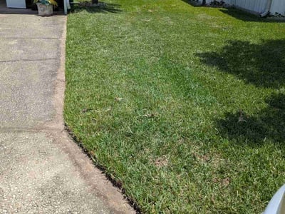 Lawn Care service in San Pedro, 90731