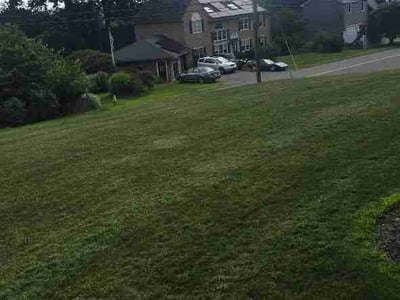 Lawn Care service in Worcester, 01608