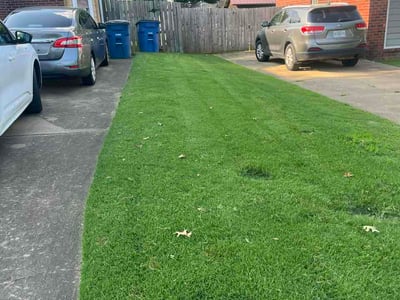 Lawn Care service in Senatobia, 38668