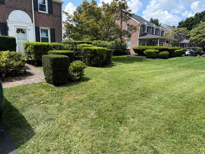 Lawn Care service in Brookhaven, 19015