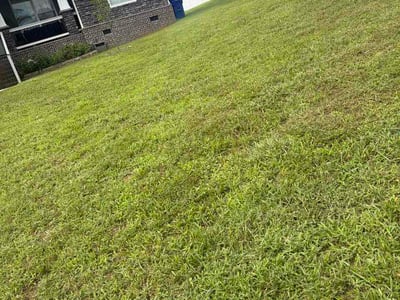 Lawn Care service in Clinton, 37716
