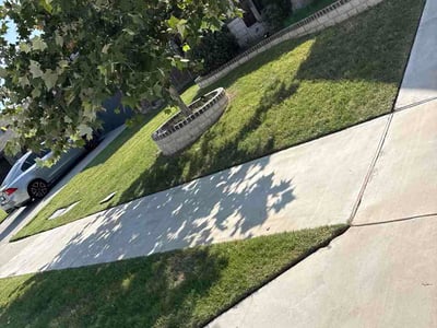 Lawn Care service in East Hampton, 06424