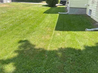 Lawn Care service in Mansfield, 02048