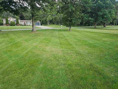 Lawn Care service in Bridgeville, 15017