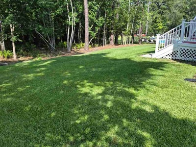 Lawn Care service in Leland, 28451