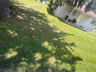 Lawn Care service in New Lexington, 43764