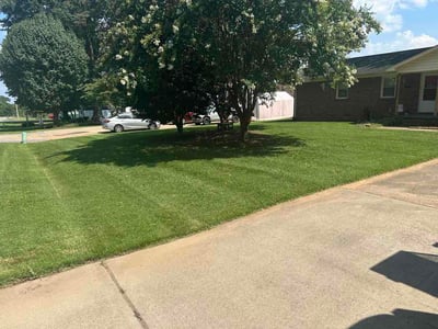 Lawn Care service in Leland, 28451