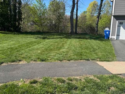 Lawn Care service in Bristol, 06010