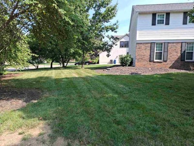 Lawn Care service in Gahanna, 43230