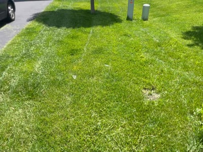 Lawn Care service in Farmington, 55024