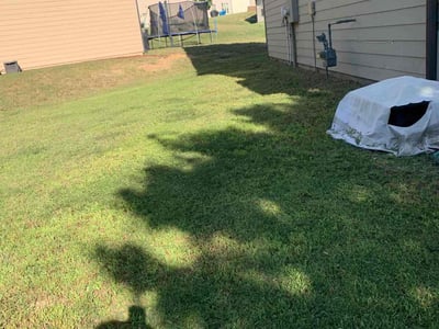 Lawn Care service in Bristol, 06010