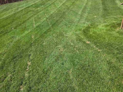 Lawn Care service in Farmington, 55024