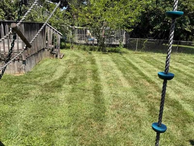 Lawn Care service in London, 43140