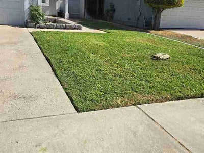 Lawn Care service in Colton, 92324