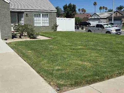Lawn Care service in Colton, 92324