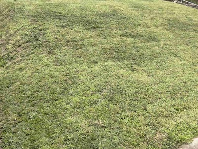 Lawn Care service in Franklin, 45005