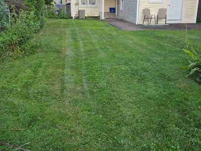Lawn Care service in Sewickley, 15143