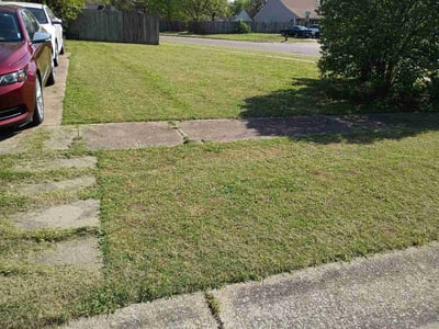 Lawn Care service in West Memphis, 72301
