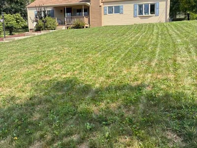 Lawn Care service in Bethel Park, 15102