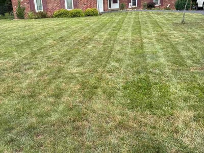 Lawn Care service in Bethel Park, 15102
