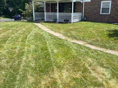 Lawn Care service in Bethel Park, 15102
