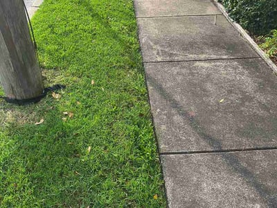 Lawn Care service in New Bedford, 02740