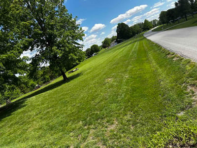 Lawn Care service in Excelsior Springs, 64024