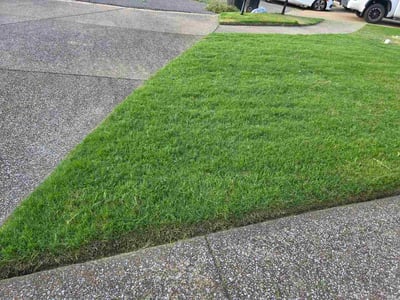 Lawn Care service in Hernando, 38632
