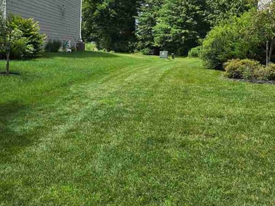 Lawn Care service in Lewis Center, 43035